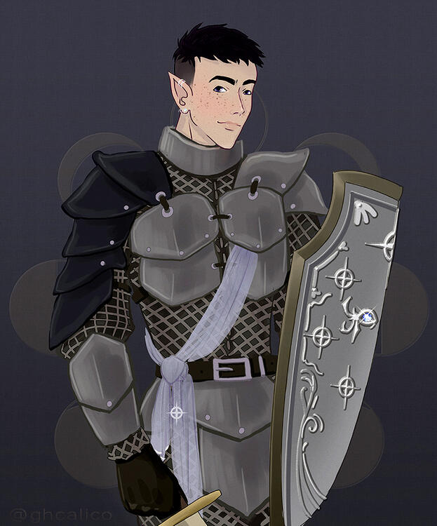 A paladin in armor.